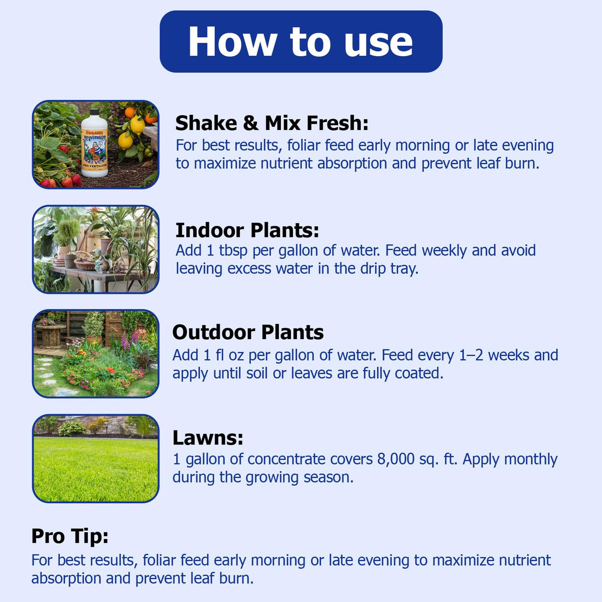 Outdoor garden nourished with Neptune's Harvest fertilizer on soil