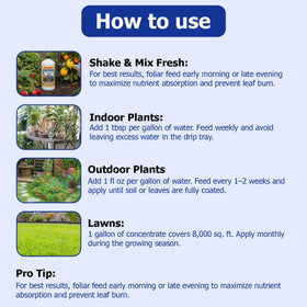 Outdoor garden nourished with Neptune's Harvest fertilizer on soil