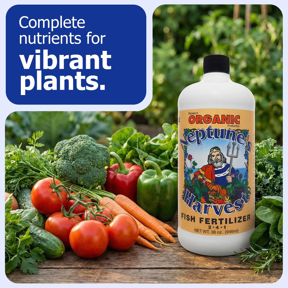 Neptune's Harvest Fish Fertilizer applied to vegetables for healthier growth