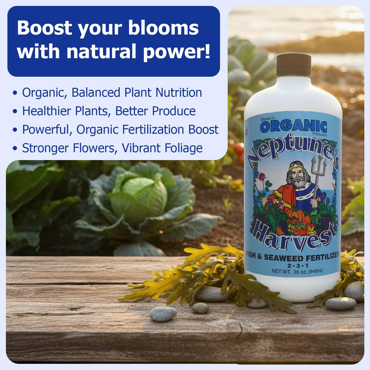 Neptune's Harvest outdoor garden application supports thriving flowers and vegetables.