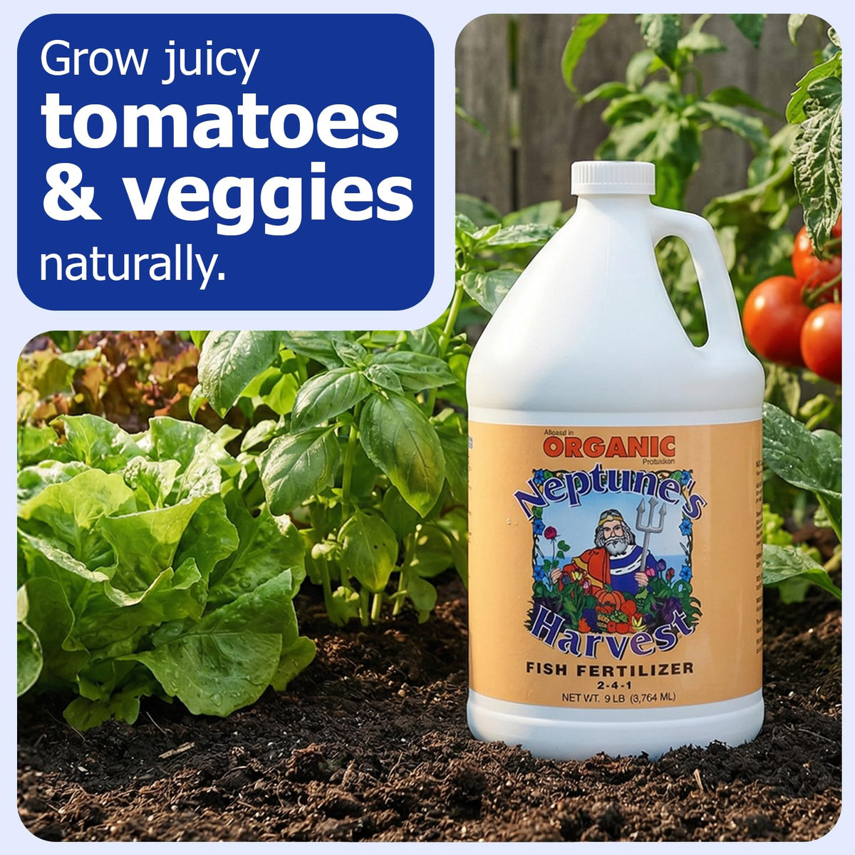 Neptune's Harvest fish fertilizer in garden use enhances vegetable and flower growth.