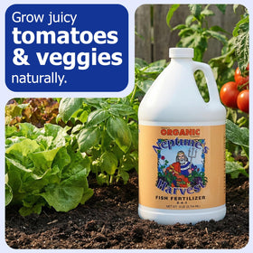 Neptune's Harvest fish fertilizer in garden use enhances vegetable and flower growth.