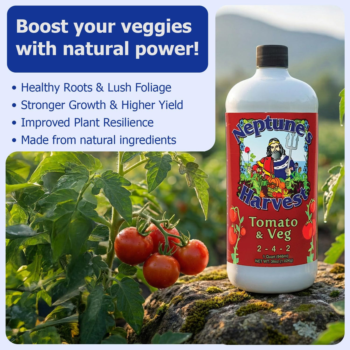 Neptune's Harvest garden-vegetable-application illustrates thriving vegetables in outdoor beds