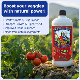 Neptune's Harvest garden-vegetable-application illustrates thriving vegetables in outdoor beds
