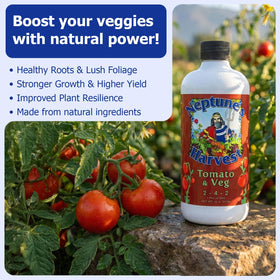 Neptune's Harvest products used in garden for healthy soil and lush foliage