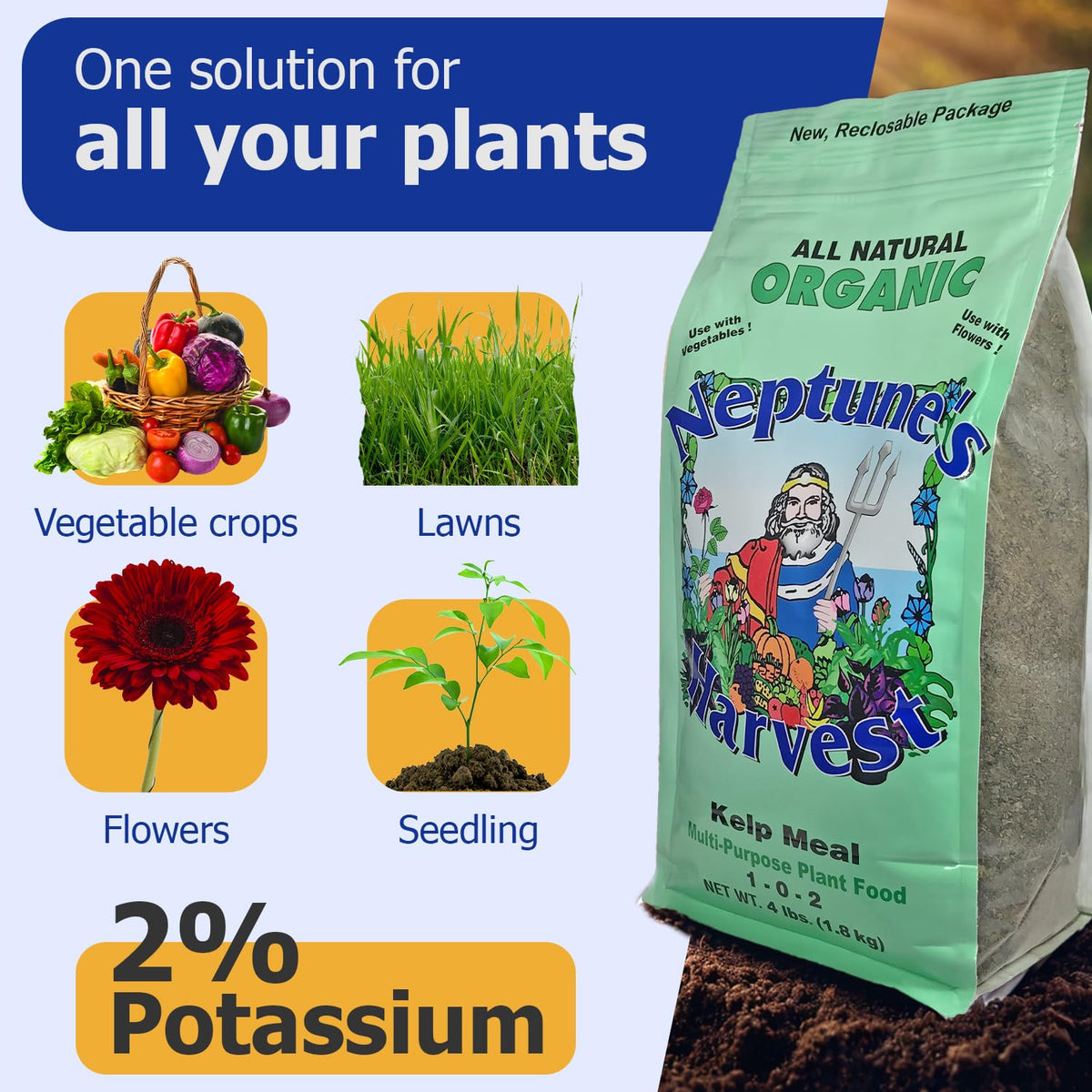 Kelp meal nutrients promote plant vitality and absorption, Neptune's Harvest