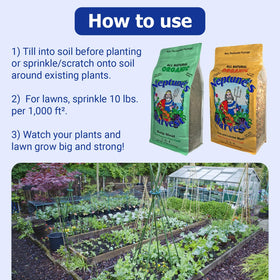 Lawn growth boost for a lush green lawn by Neptune's Harvest