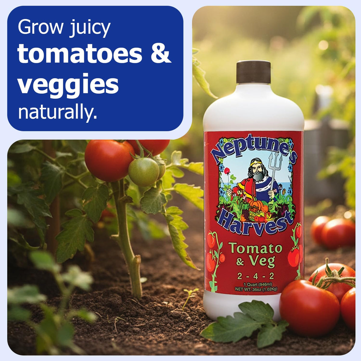 Neptune's Harvest organic plant food label closeup highlights fish and seaweed nutrients