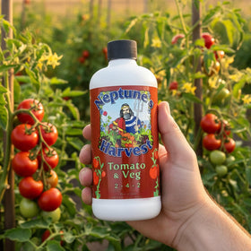 Pint-sized Neptune's Harvest container shown for outdoor and indoor plant feeding