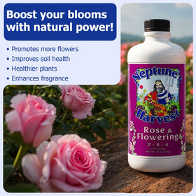 Neptune's Harvest Rose & Flowering Fertilizer foliar spray on lush indoor plant leaves.