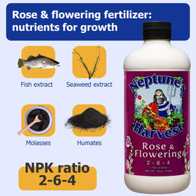Neptune's Harvest Rose & Flowering Fertilizer label close-up with 2-6-4 formula.