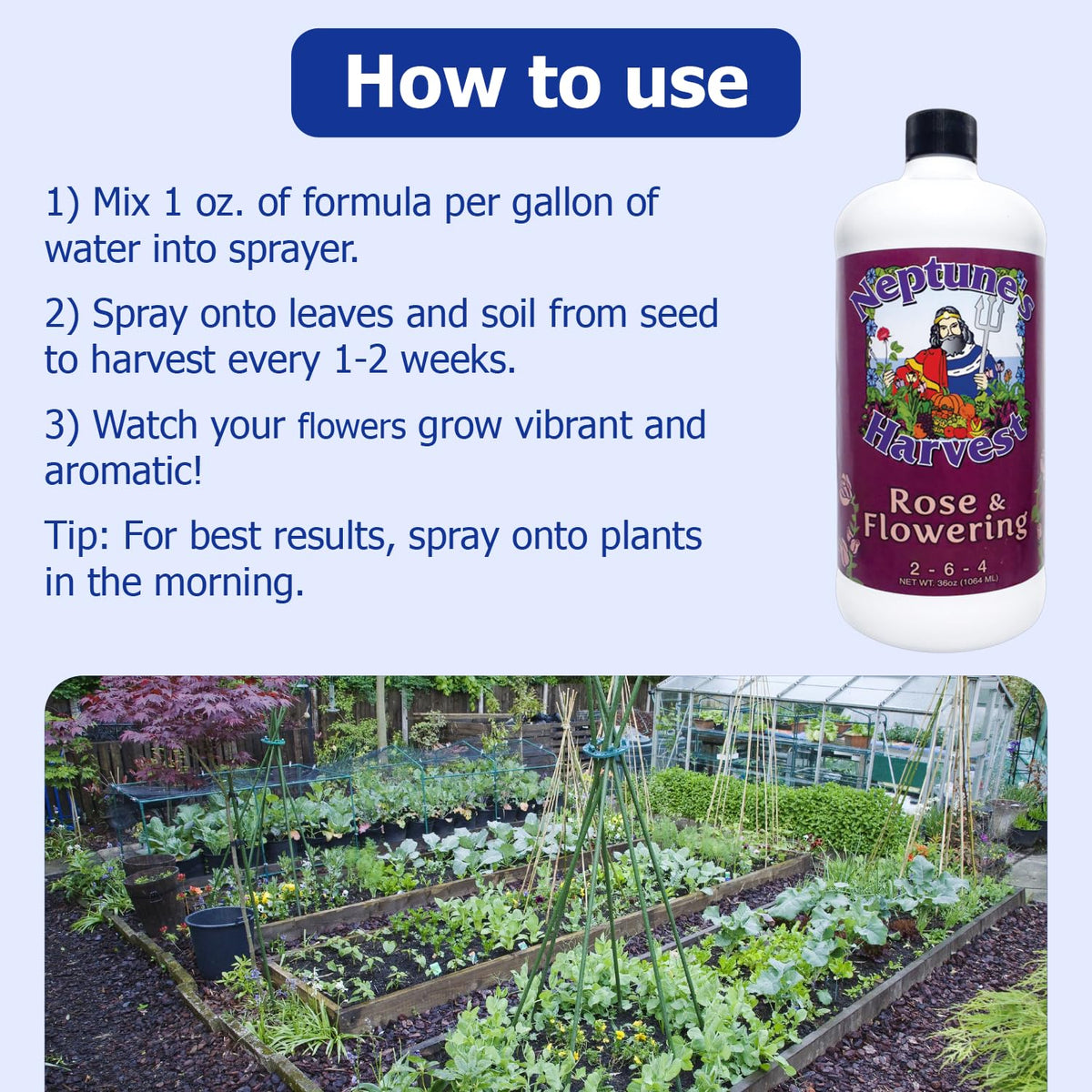 Neptune's Harvest soil application demonstrates easy integration for robust roots and blooms.