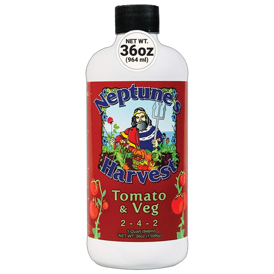 Neptune's Harvest tomato fertilizer bottle boosts growth and strong foliage in gardens