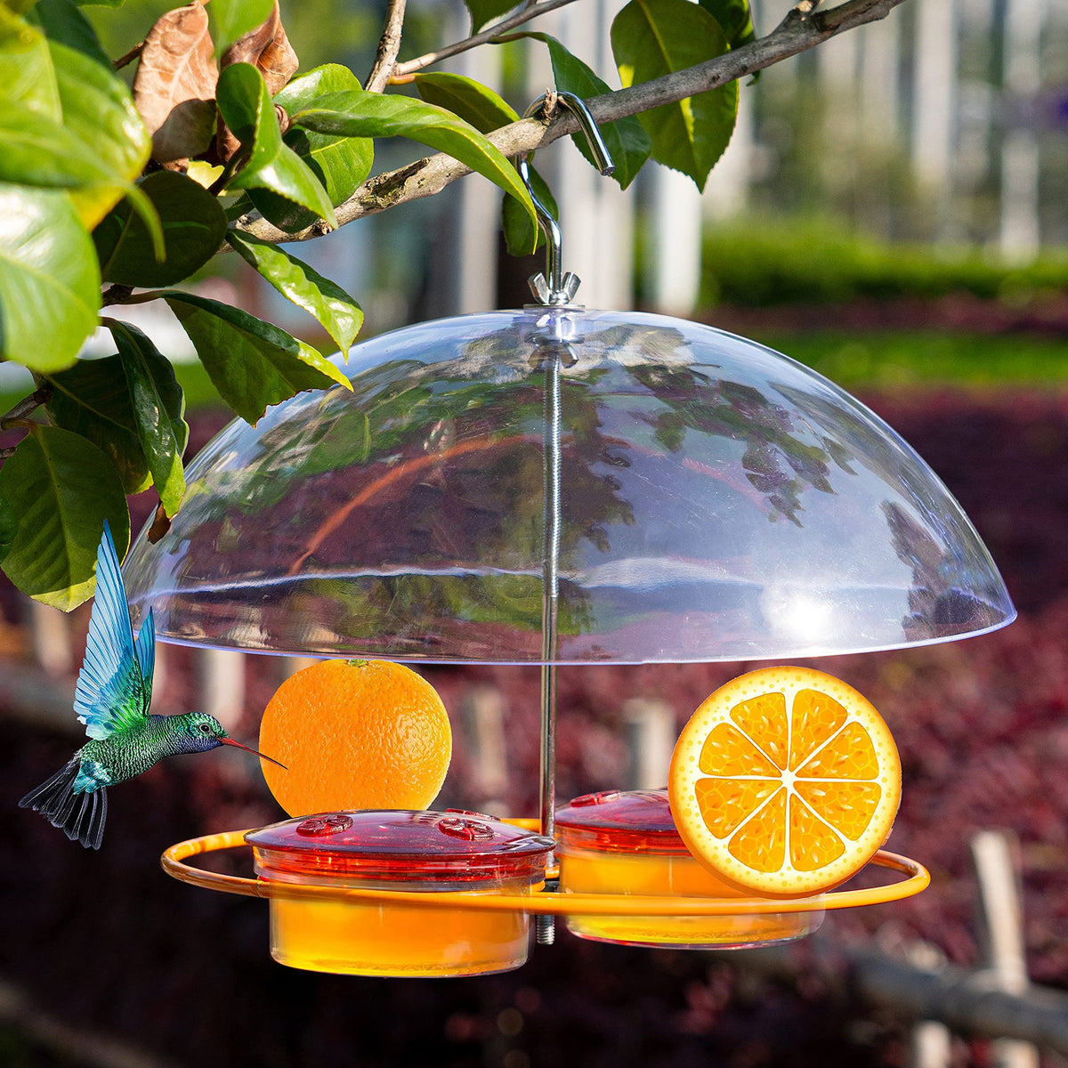 NEROSUN Baltimore Oriole feeder with a dome roof protects birds from rain while feeding.