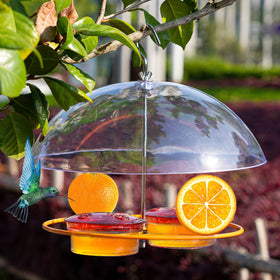 NEROSUN Baltimore Oriole feeder with a dome roof protects birds from rain while feeding.