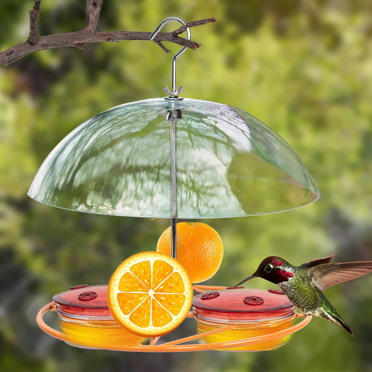 NEROSUN orange fruit attachment helps attract diverse garden birds.