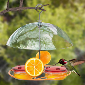 NEROSUN orange fruit attachment helps attract diverse garden birds.
