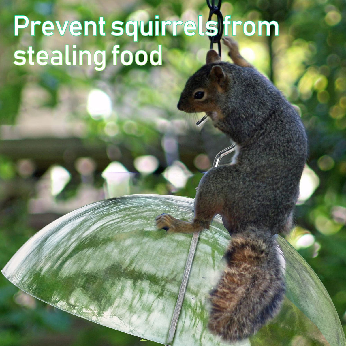 NEROSUN anti-squirrel base helps keep fruit secure for garden birds.
