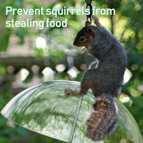 NEROSUN anti-squirrel base helps keep fruit secure for garden birds.