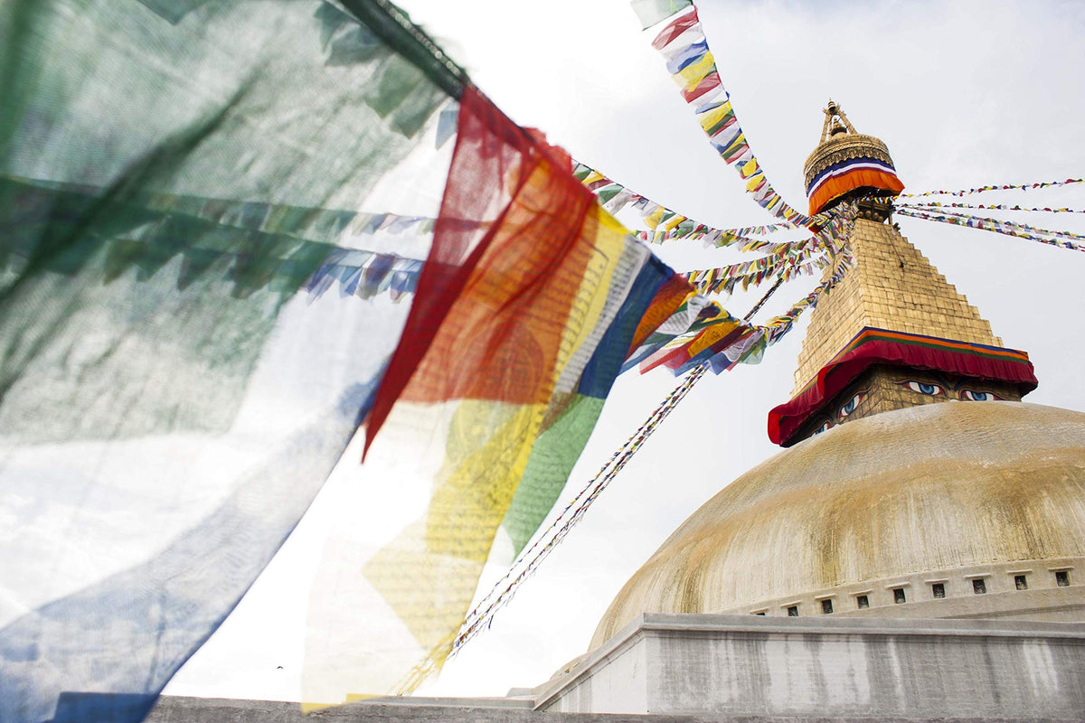 Nervana Lung Ta wind horse flag hanging outdoors with movement.