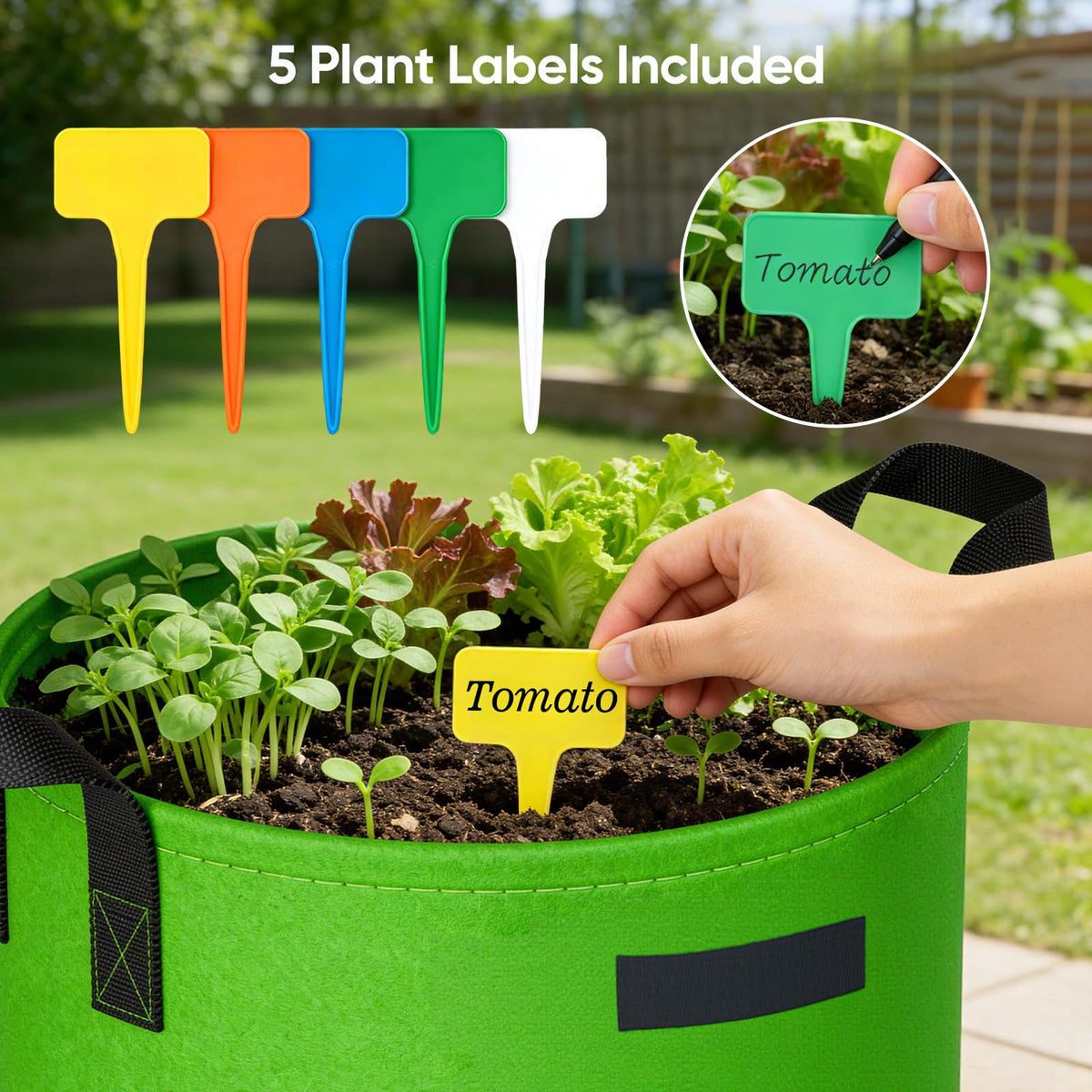 NESSTU 10-gallon capacity provides ample space for root vegetables