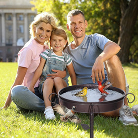 NestShld birdbath enhances patios and gardens as a natural focal point.