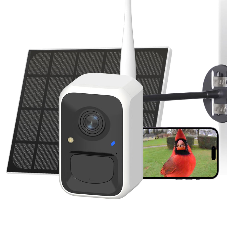 NETVUE bird feeder camera offers a crisp top-view of visiting birds for easy spotting.