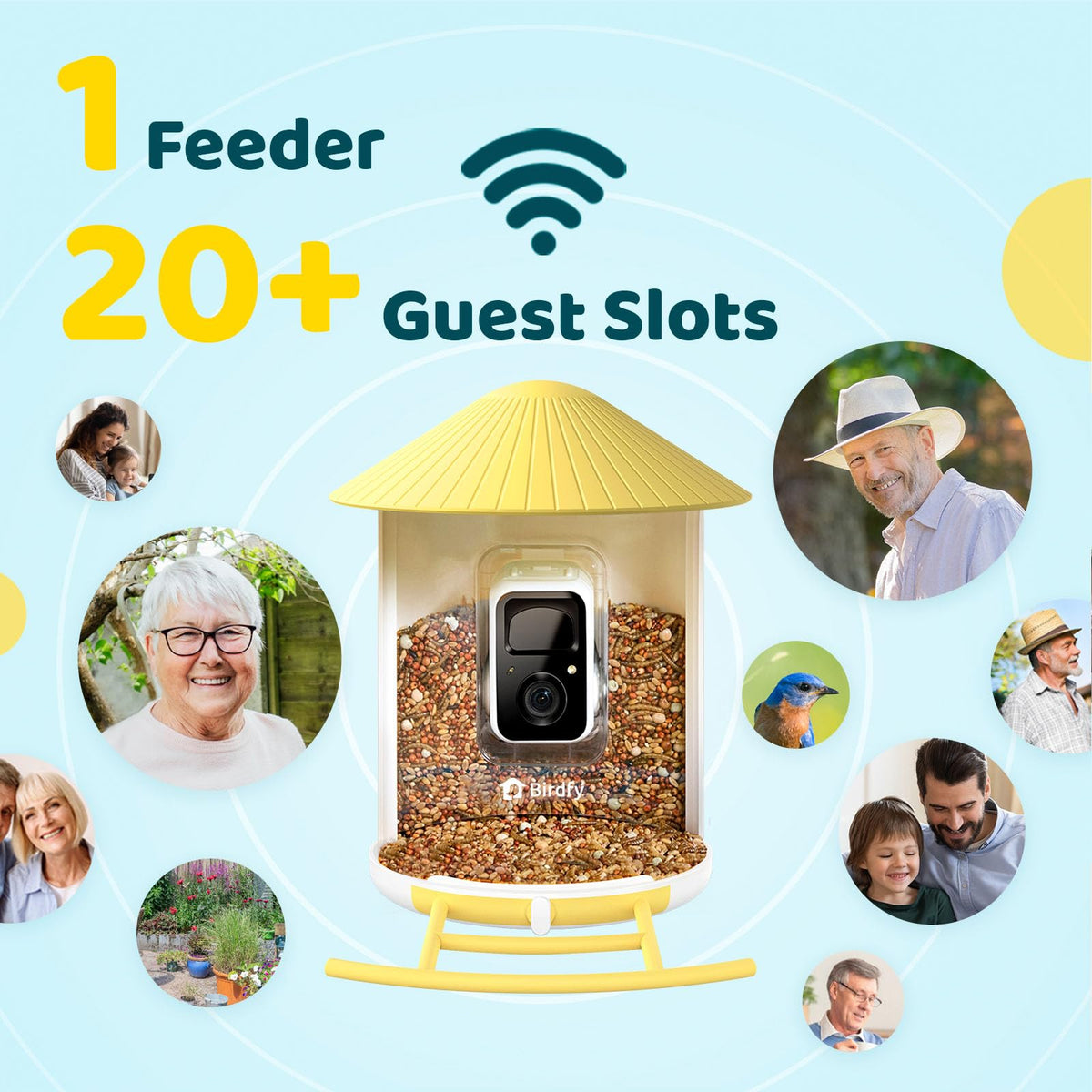 NETVUE Birdfy AI species identification highlights visits with rapid species recognition.