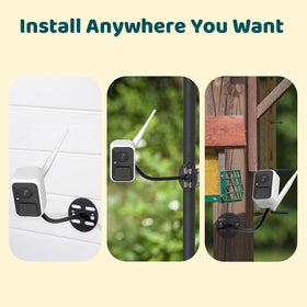 NETVUE Birdfy notifications delivered to a smartphone in real time.