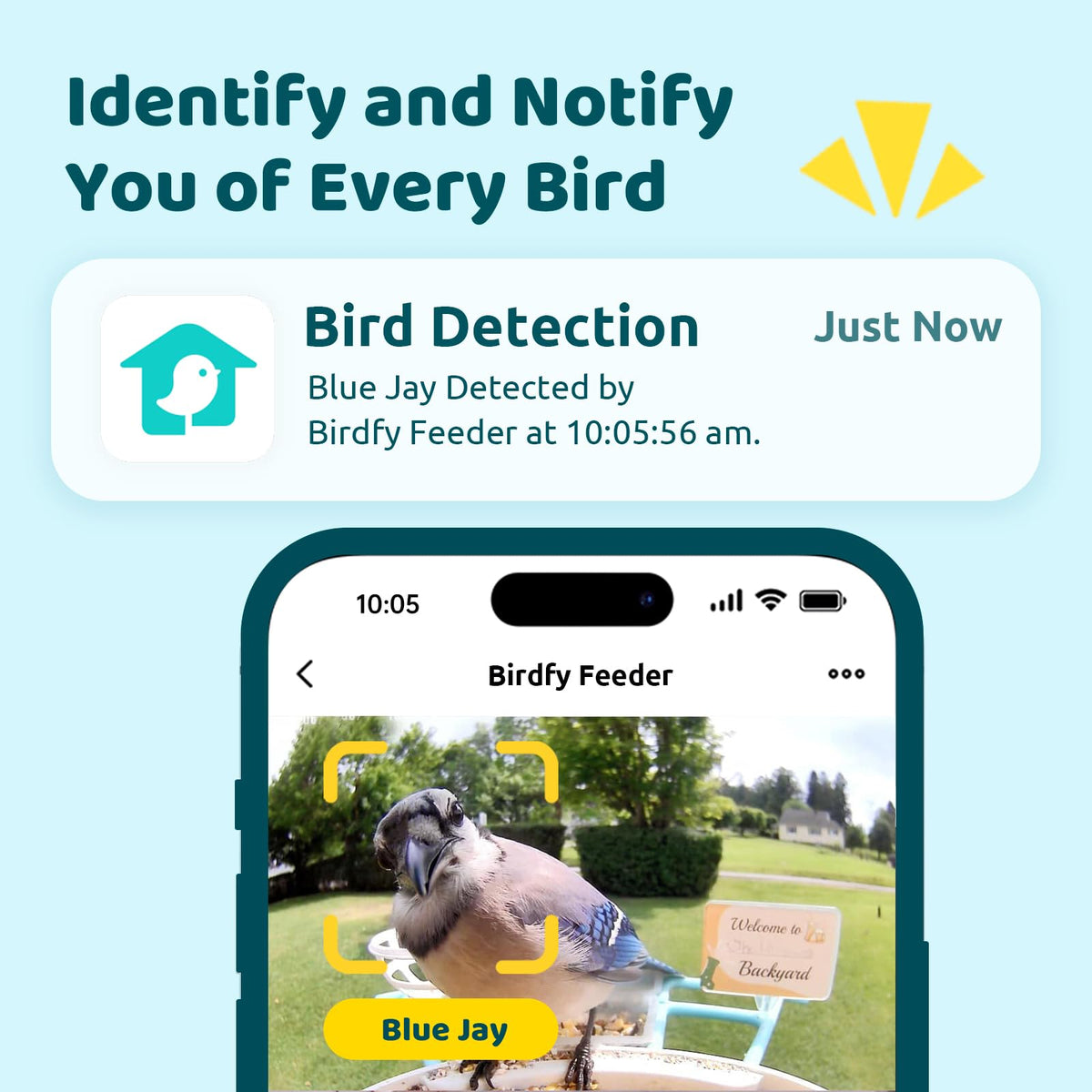 NETVUE Birdfy night vision shot reveals nocturnal visitors with discreet color imaging.