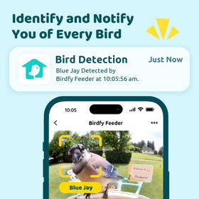 NETVUE Birdfy night vision shot reveals nocturnal visitors with discreet color imaging.