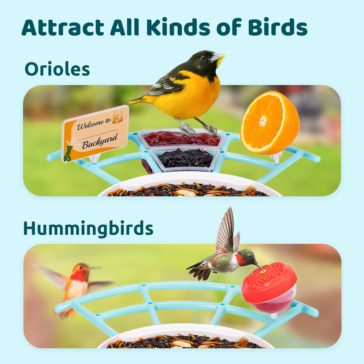 NETVUE Birdfy Pro Perch fruit holder attracts Orioles and Finches with fresh fruit options