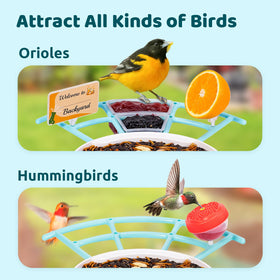 NETVUE Birdfy Pro Perch fruit holder attracts Orioles and Finches with fresh fruit options
