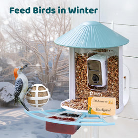 NETVUE Birdfy Pro Perch mini hummingbird feeder shaped like a blossom attracts hummingbirds