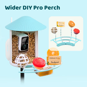 NETVUE Birdfy Pro Perch suet feeder helps woodpeckers and chickadees during colder months