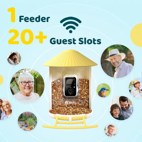 NETVUE Birdfy AI bird ID highlights species visiting your yard