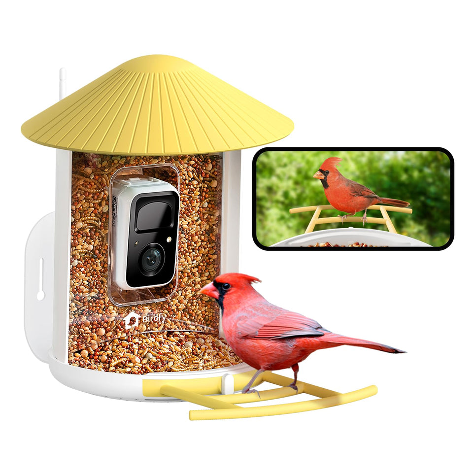 NETVUE Birdfy feeder camera front view for easy monitoring and immediate bird alerts