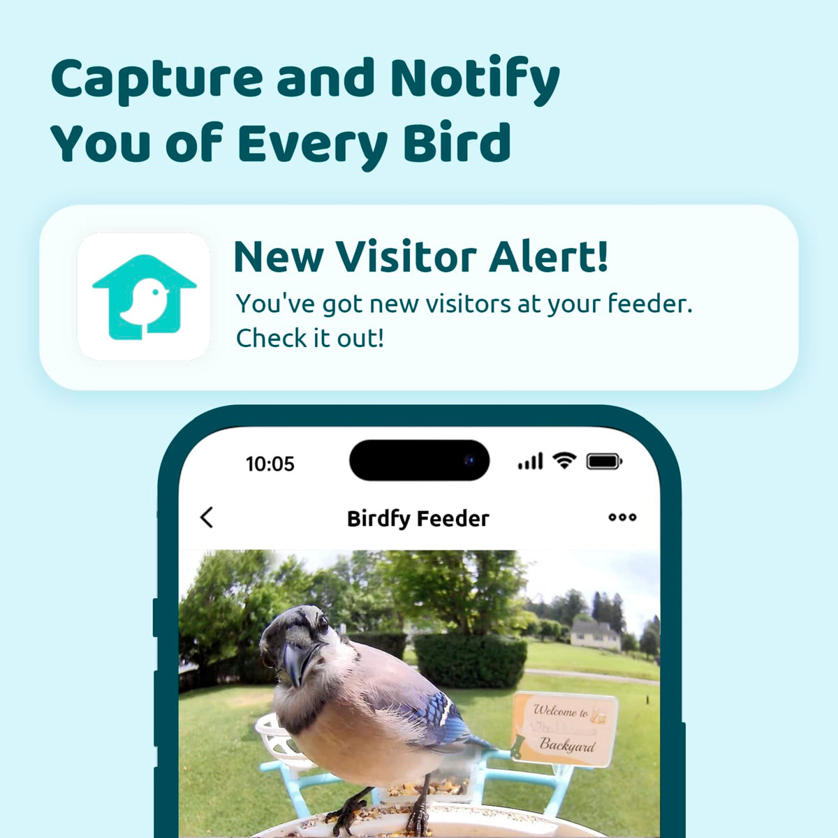 NETVUE Birdfy feeder motion detection captures visiting birds with instant notifications