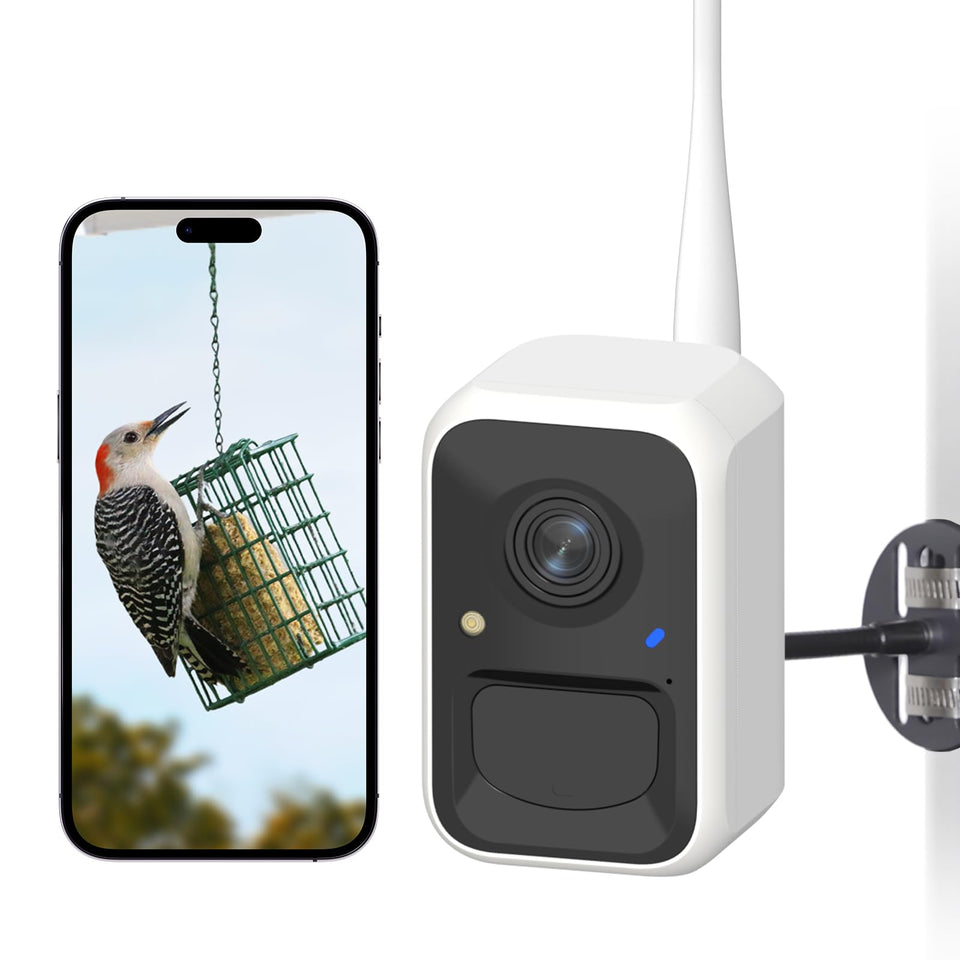 NETVUE Birdfy smart feeder camera mounted on a feeder for real-time backyard viewing.