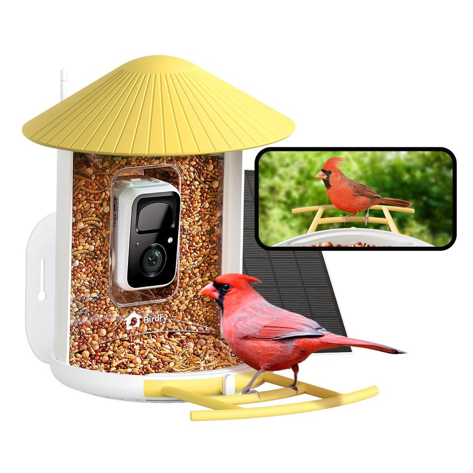 NETVUE Birdfy smart feeder front view shows quick visits and alerts.