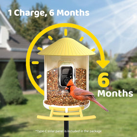 NETVUE Birdfy weatherproof materials endure sun, rain, wind, and snow.
