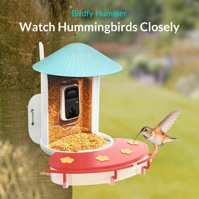 NETVUE perch design supports resting feeding posture for hummingbirds.