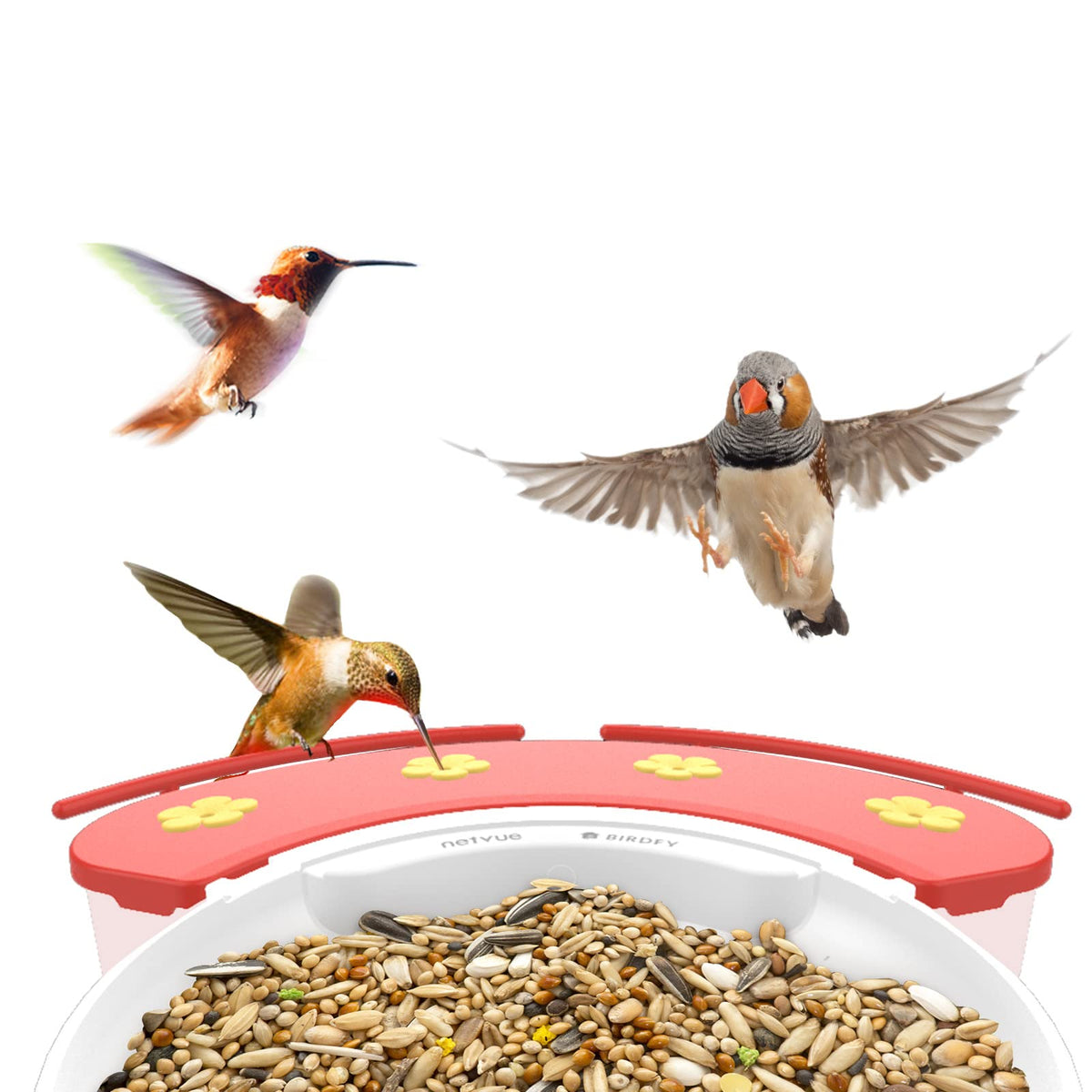 NETVUE feeder supports phone viewing for real-time birdwatching.