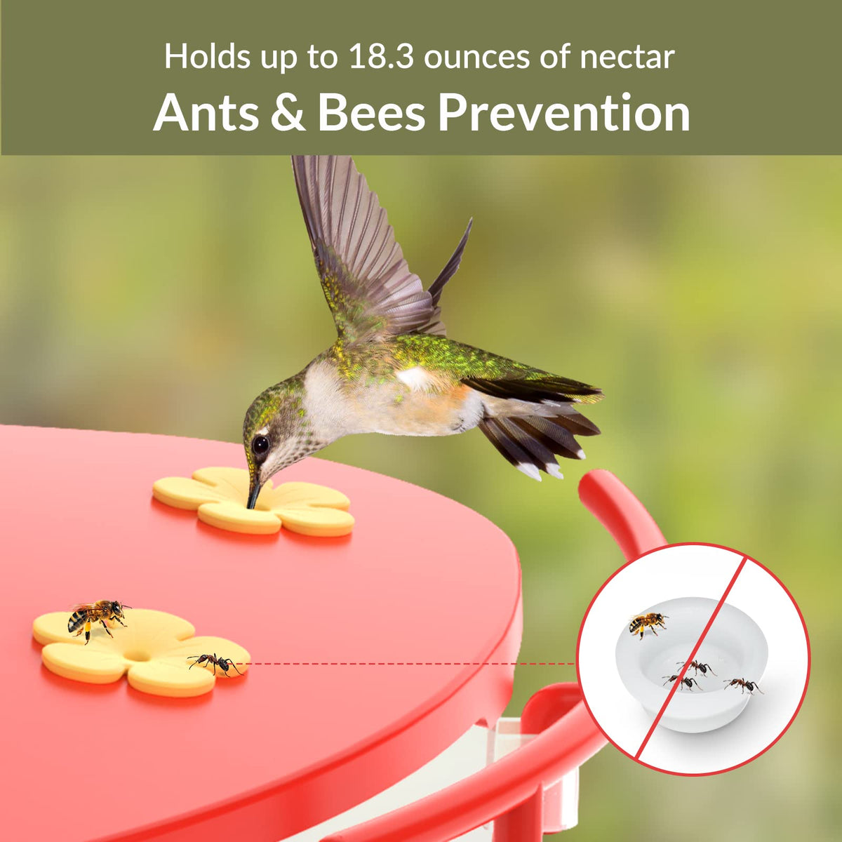 Polycarbonate NETVUE feeder is leak-proof and easy to clean.
