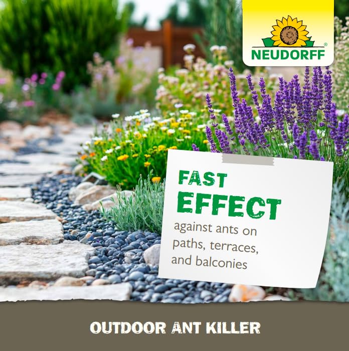 Neudorff ant killer applied around vegetables in a garden.