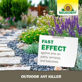 Neudorff ant killer applied around vegetables in a garden.