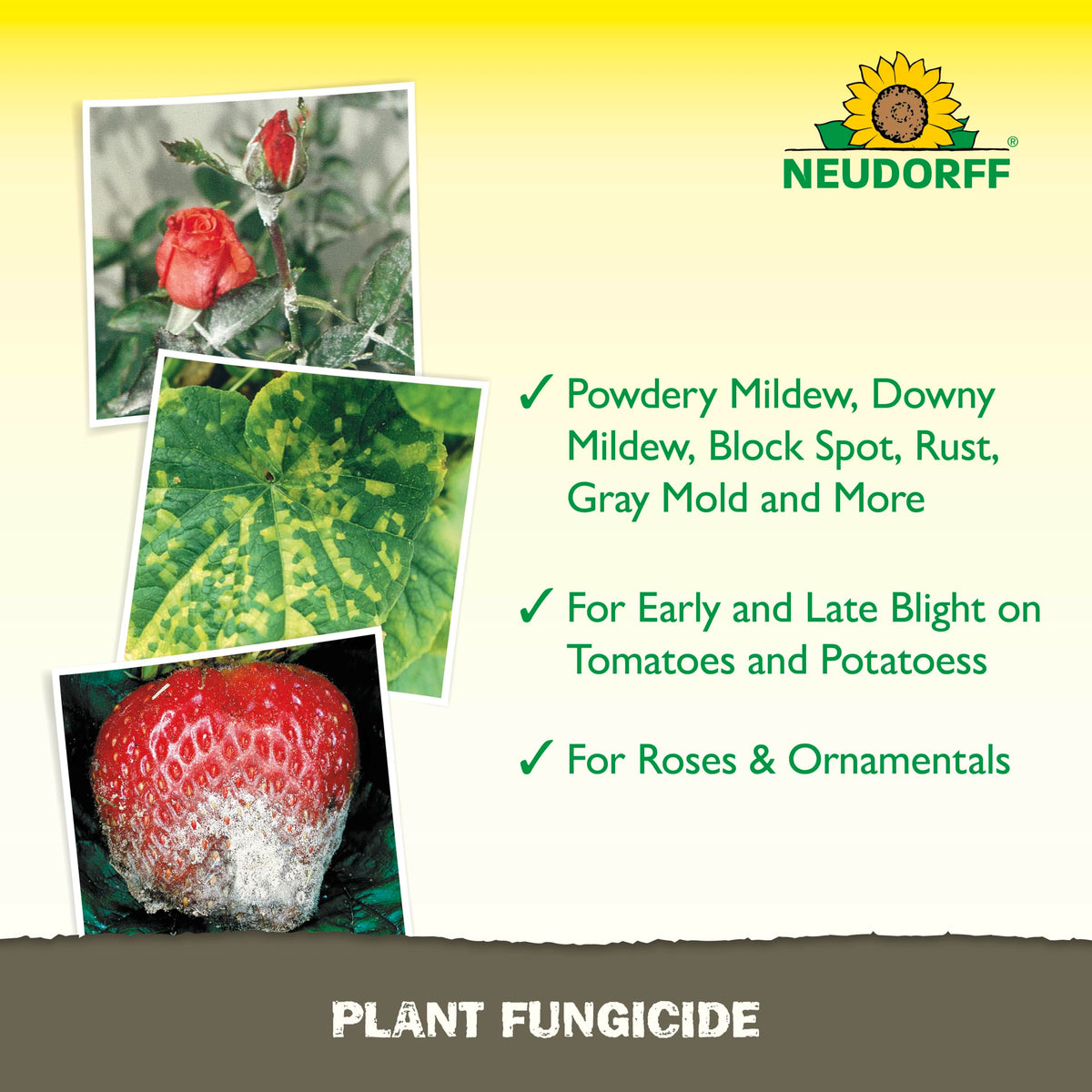 Neudorff Copper Fungicide supports fruit tree branches against listed diseases.