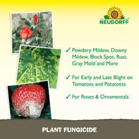 Neudorff Copper Fungicide supports fruit tree branches against listed diseases.