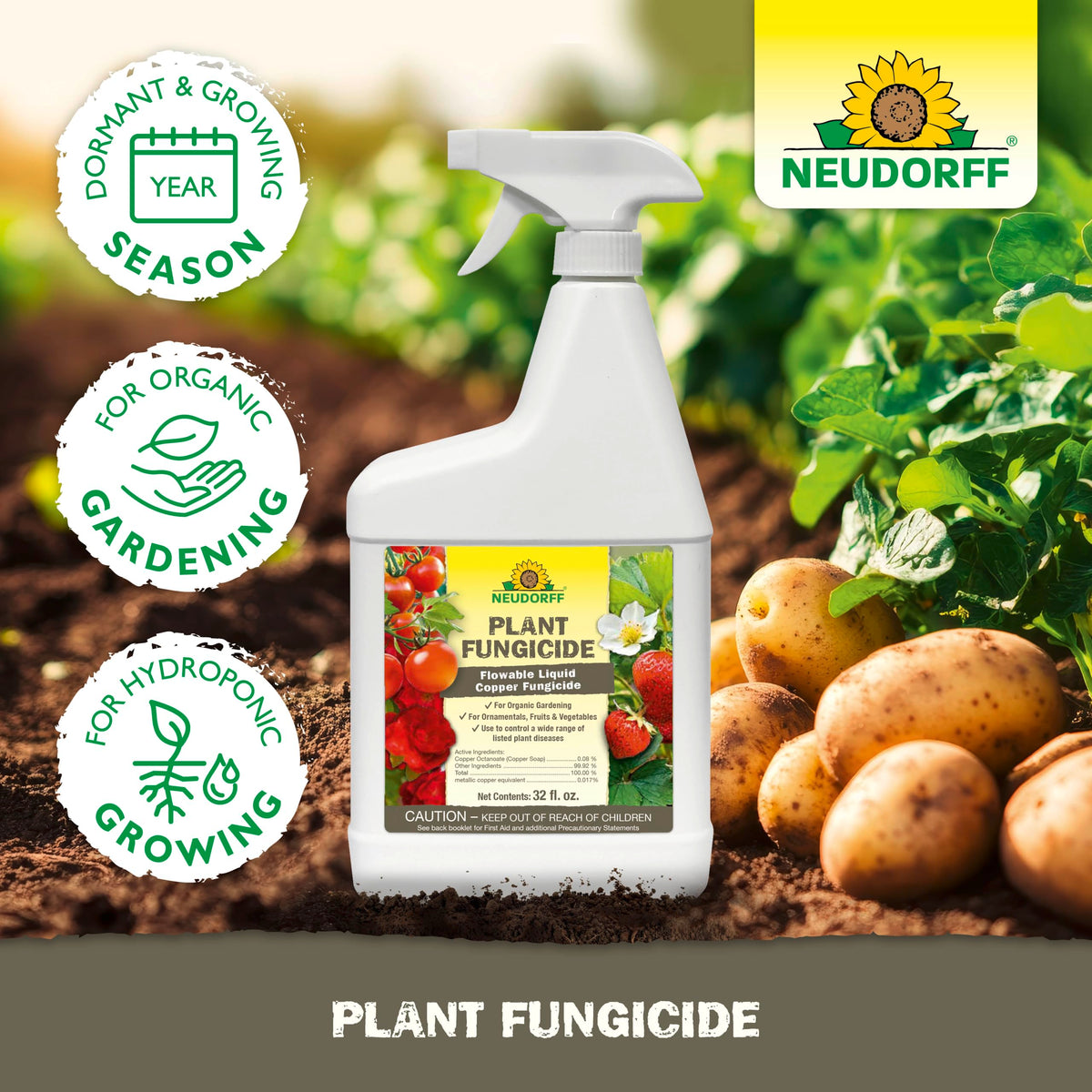Neudorff Copper Fungicide for indoor plants supports healthy foliage.