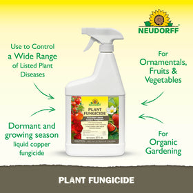 Neudorff Copper Fungicide protects rose leaves from powdery mildew and spots.